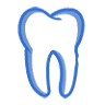 Dr. Polina Barenbaum, DDS