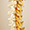 Moeckel Chiropractic Physicians