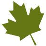 Mokuchi