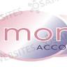 Monetaire Accountants