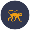 Monkey Adventures