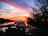 Monkey Island Rentals