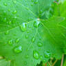 Monroe Soil & Water