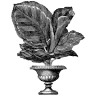 Montage Antiques