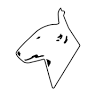 Montecore Srl
