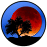 Moonrise Winery
