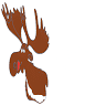 The Chocolate Moose