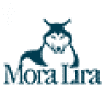 Despacho contable Mora Lira