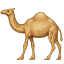Morocco Desert Sahara