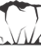 Morro Bay Family Dentistry - Sorina Ratchford DDS