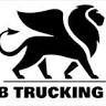 MR. BOND TRUCKING SERVICES INC.