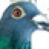 Sklep 