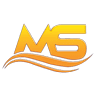 MS AUDIT TAX