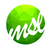 MSL Tax and Accounting Group
