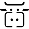 Mucca