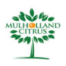 Mulholland Citrus