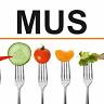 MUS Kindergarten und Schulverpflegung GmbH & Co.KG