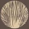 Mushroom Forestry