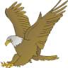 Musselman Tax and Bookkeeping Inc