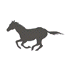 Salon Samochodowy MUSTANG