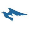 Morihisanarizeirishi Services