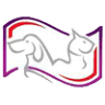 Budget Vet, LLC
