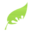 Mycha (Block 37)