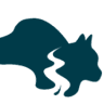 Creekside Animal Clinic, PA