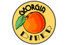 Georgia Diner