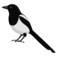 Magpie Cafe & Coffeehouse