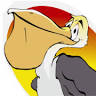 Pelican Printing & Signs