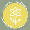 Smyrna Smiles Family Dentistry