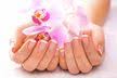 The Nail Garden