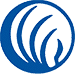 NAMI Green County, Inc.