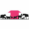 Nanango Country Veterinary Services - Dr. Kathy Webb