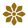 NaNa Thai Eatery - East Cobb