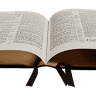 ADVENTISTS IN THE NARROW WAY