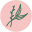 Natural Creations LLC