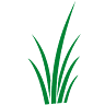 Naturally Grazed