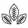 Natural&Mente Urban Spa