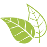 naturaprojekt.pl