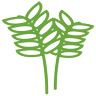 Naturfrø