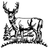 Naugle's Custom Butchering