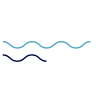 Dr Shaun Quigley - Northern Beaches Interventional Radiology Brookvale