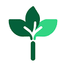 Nnadozie Integrated Development Foundation