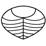 nedwood design