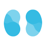 Nephrology Associates, P.A.