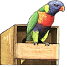 Nest Boxes Australia