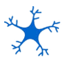Neurocare Pro