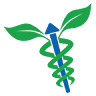 Psicoterapia Roma